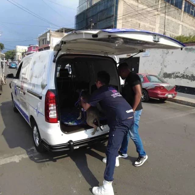 Hospital Veterinario CDMX: Así es la Nueva Clínica con Ambulancia y Atención 24 Horas a Mascotas