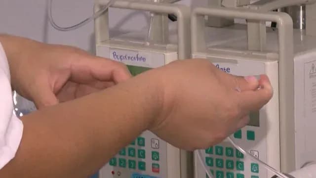 Registran Primera Muerte Por Dengue en Jalisco en 2025. Foto: N+