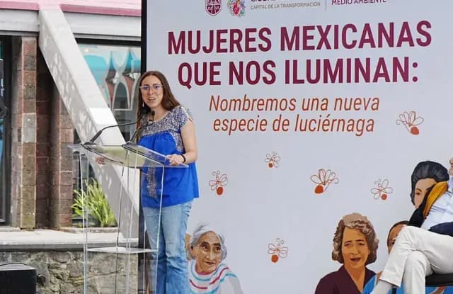 Julia Álvarez Icaza invitó a elegir el nombre de nueva especie de luciérnaga