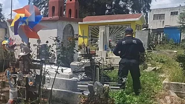 Autoridades llegaron al panteón de la colonia Guadalupe Hidalgo para destruir las plantas de marihuana
