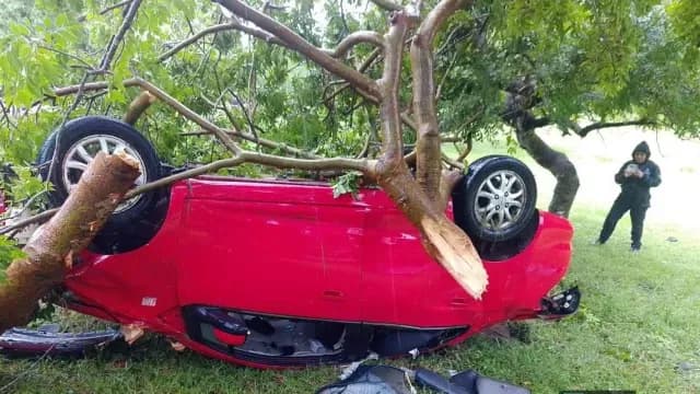 Aparatosa volcadura deja saldo de una mujer fallecida en Isla, Veracruz. Foto: X | @virales_mex