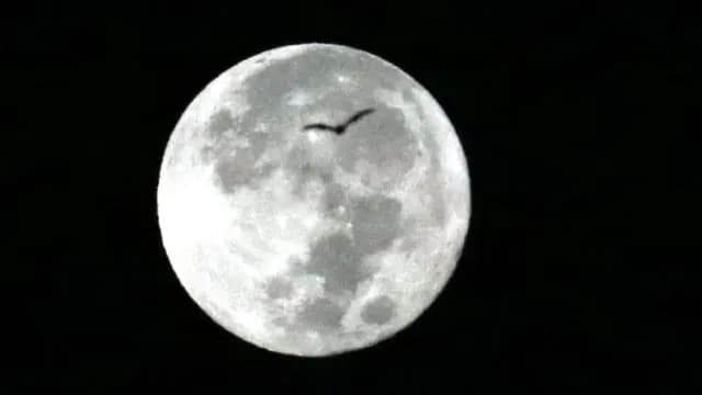 Luna llena de octubre, vista desde Guerrero. Foto: Cuartoscuro | Archivo