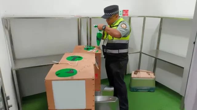 Rescatan-Avestruces-Aeropuerto-Reynosa-Empresa-Paquetería