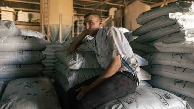 En la bodega, como en el campo, la jornada de trabajo es de sol a sol. (Foto: N+)