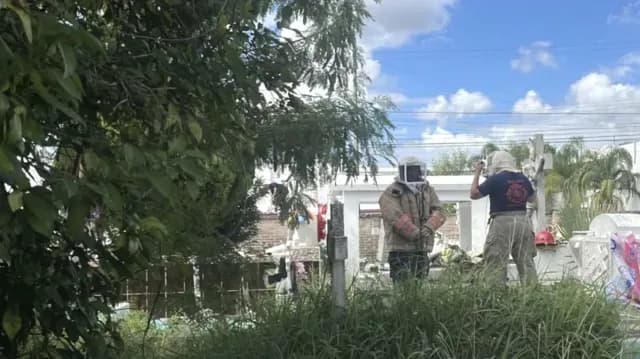 Reportan Ataque de Abejas a Trabajadores en Panteón de Matamoros