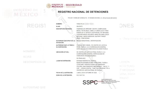 Ficha de detención de Tania Félix "N" en Puebla. Foto: Gobierno de México