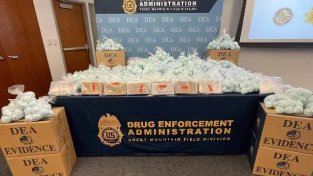 Incautan 500 kg de Droga en EUA. Foto: DEA
