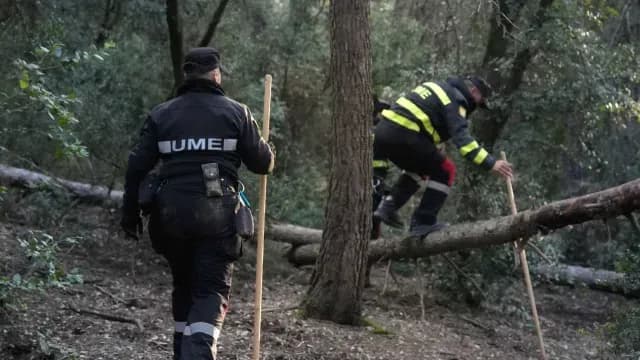 Cazan jabalíes por brote de peste porcina africana en España