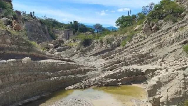 Los vestigios arqueológicos encontrados son de hace 120 millones de años