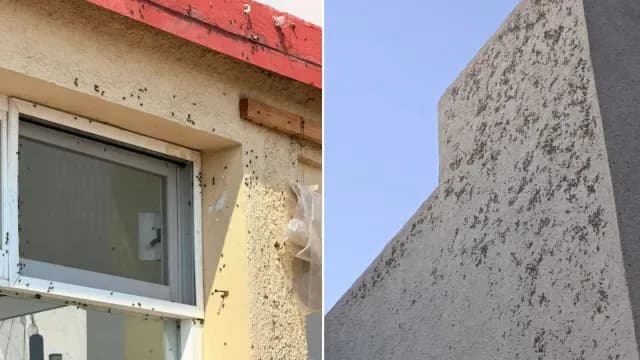 Moscas en Fachadas de viviendas en Tizayuca. Fotos: N+