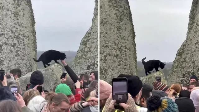 Gato negro se roba la celebración del solsticio en Stonehenge
