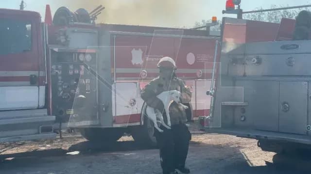 Incendio de Tres Casas en Matamoros Moviliza a Autoridades
