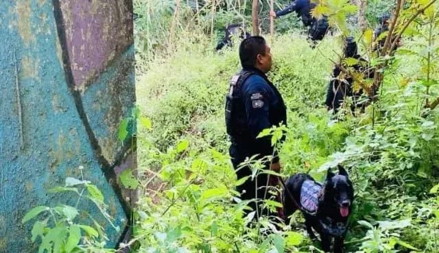 Hallan Sin Vida a Niño de 5 Años con Autismo en Michoacán
