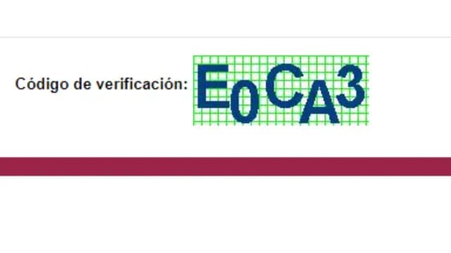 Código de Verificación CURP