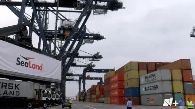 48 horas sin funcionamiento adecuado en las aduanas de Veracruz | Foto: Alex Ramírez | N+