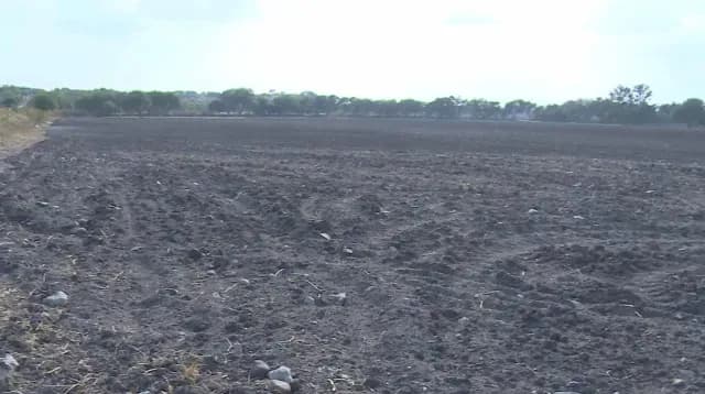 Todo el territorio estatal se cuenta con algún grado de sequía.