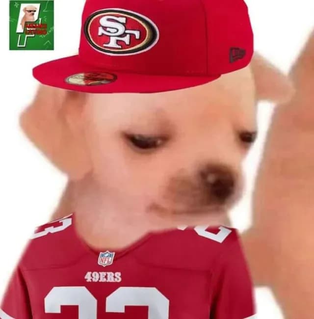 meme aficionados de los 49ers