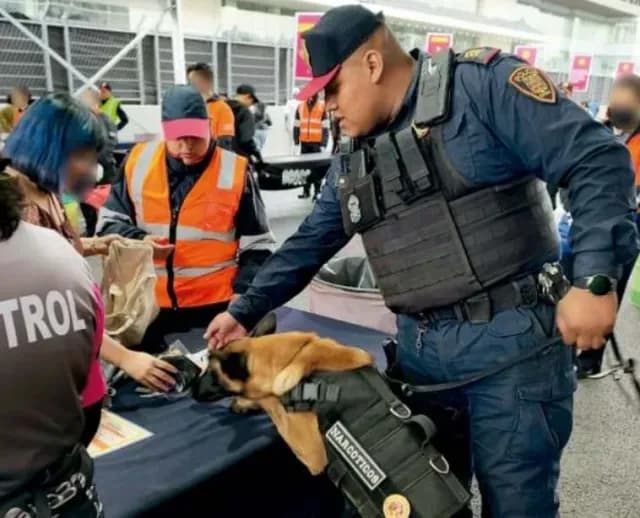 Perros policía de PBI en CDMX