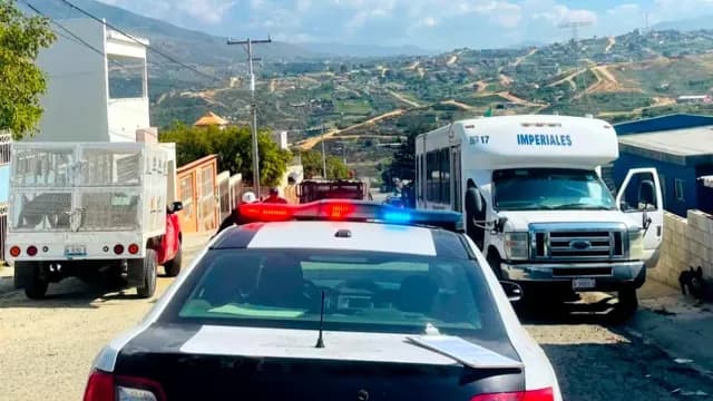 Denuncian Presunto Caso de Maltrato Animal contra un Rescatista en Ensenada