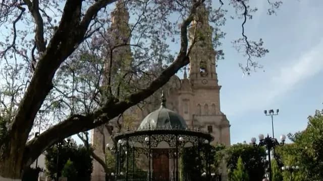 Los cuerpos presentaban huellas de violencia. Foto N+