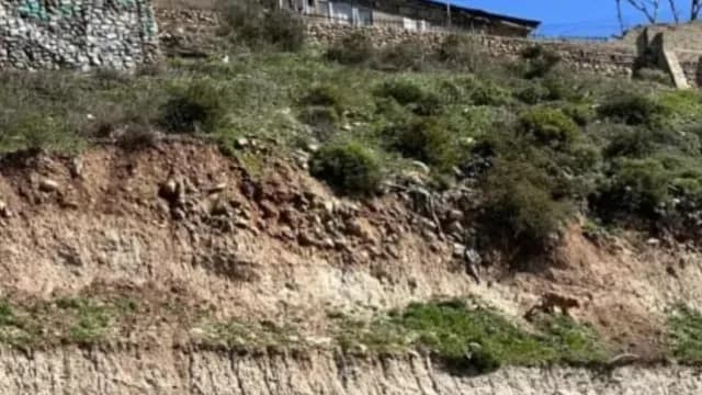 El can se encontraba extraviado por al menos dos días