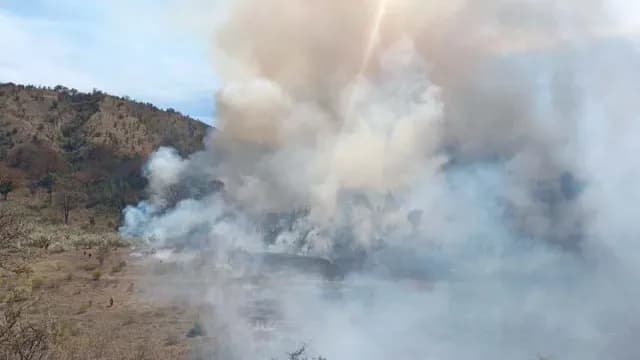 Incendió Forestal en la Primavera Jalisco