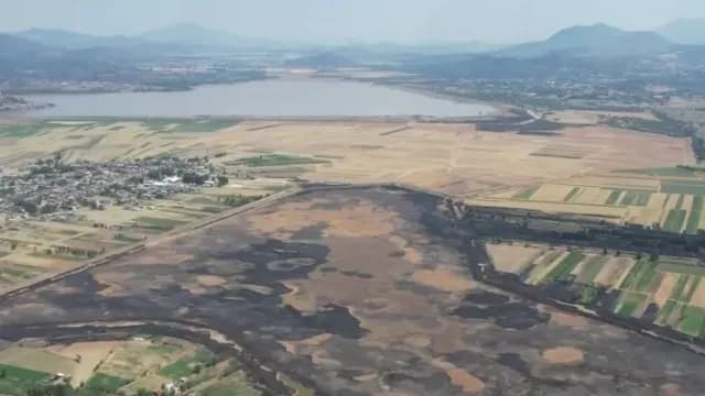Panorámica del lago de Pátzcuaro muestra la abundancia de pastizales