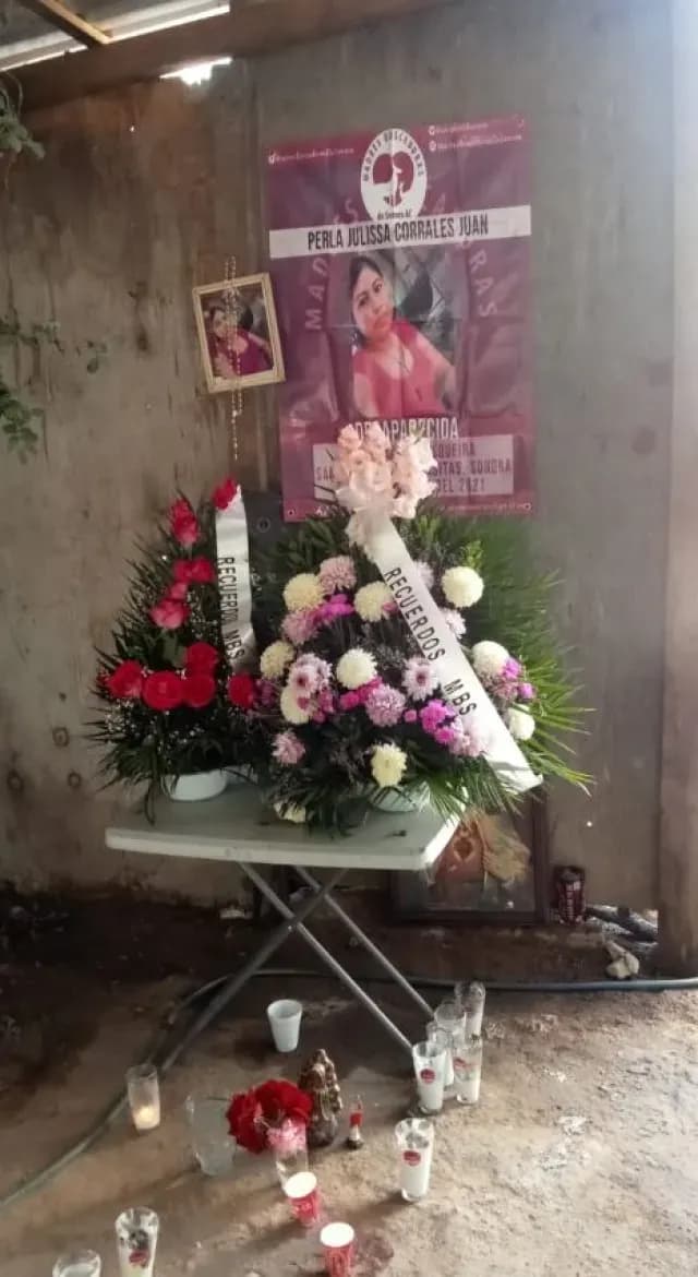Perrita Acompaña Féretro de su Dueña Hasta el Panteón