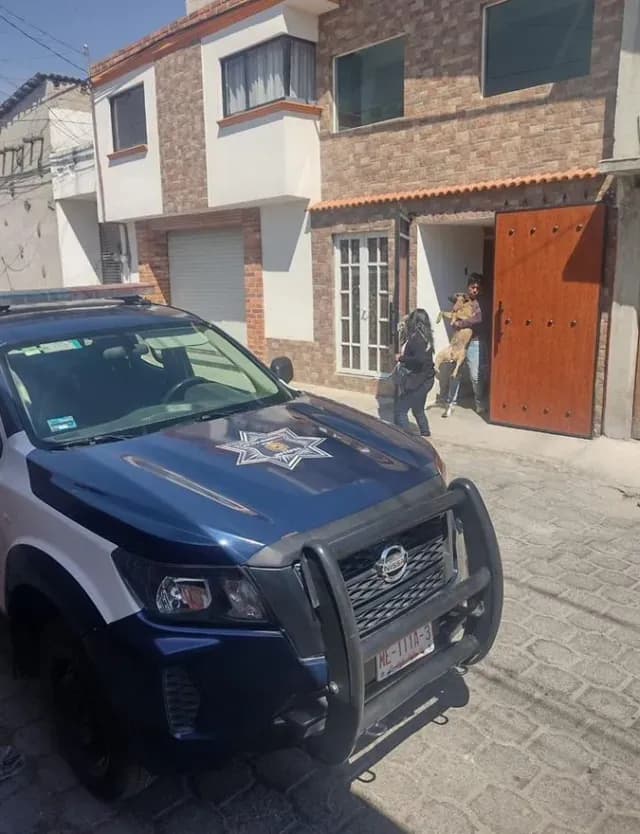 “Detienen” a Perros que Atacaron a Jóvenes en Metepec