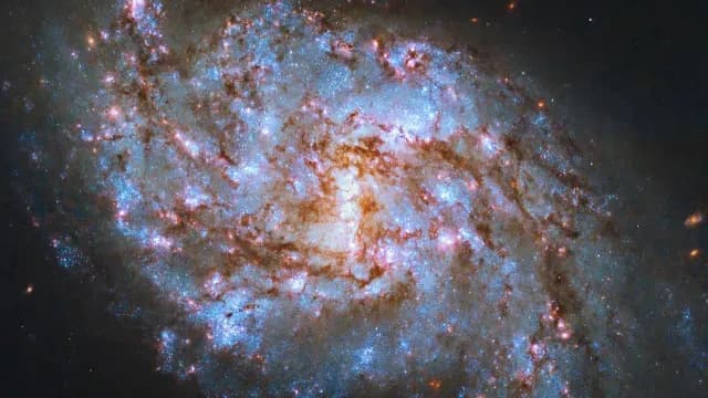 Galaxia NGC 1087, a 80 millones de años luz de la Tierra