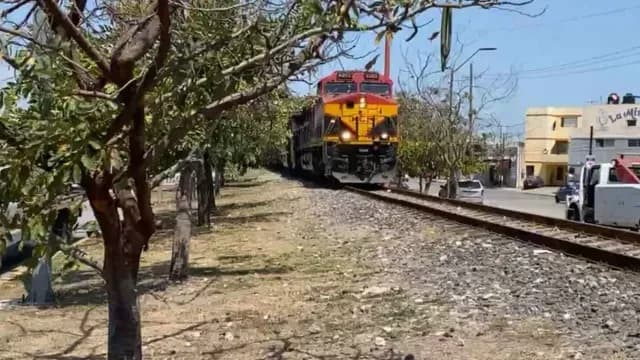 Se avisó al maquinista sobre la situación y pudo aplicar frenos para evitar la colisión. Foto: X @virales_mex