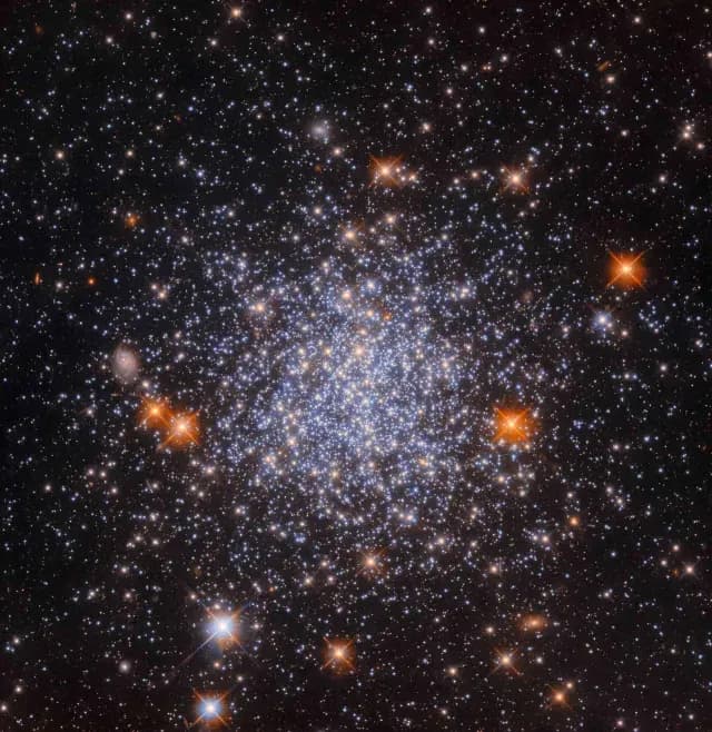 Cúmulo de estrellas NGC1651 captado por el telescopio Hubble