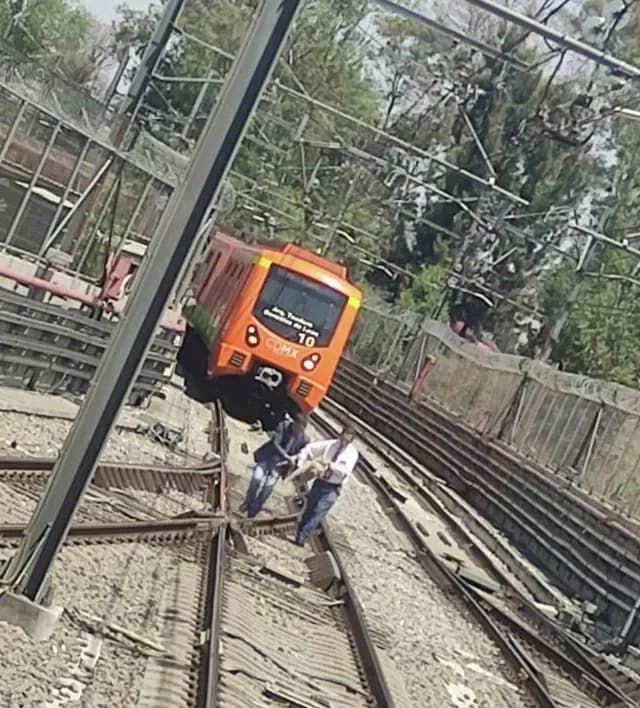 Rescatan a perrito de la Línea 12 del Metro
