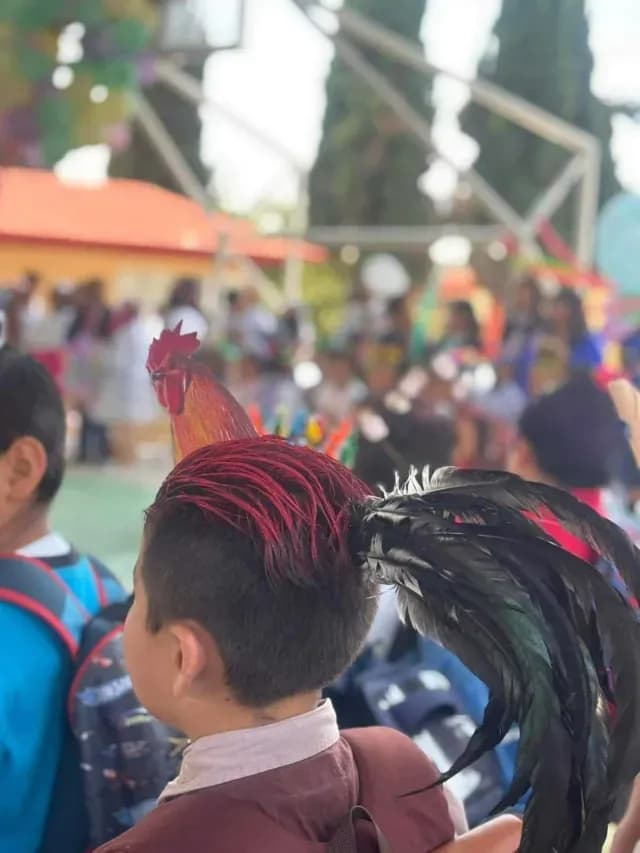 Niño con peinado de gallo