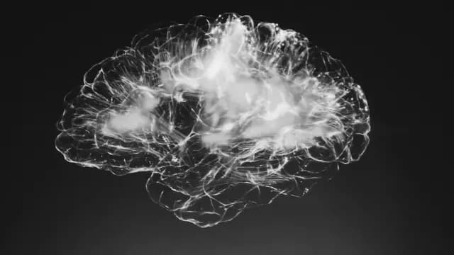 Ilustración artística del cerebro humano