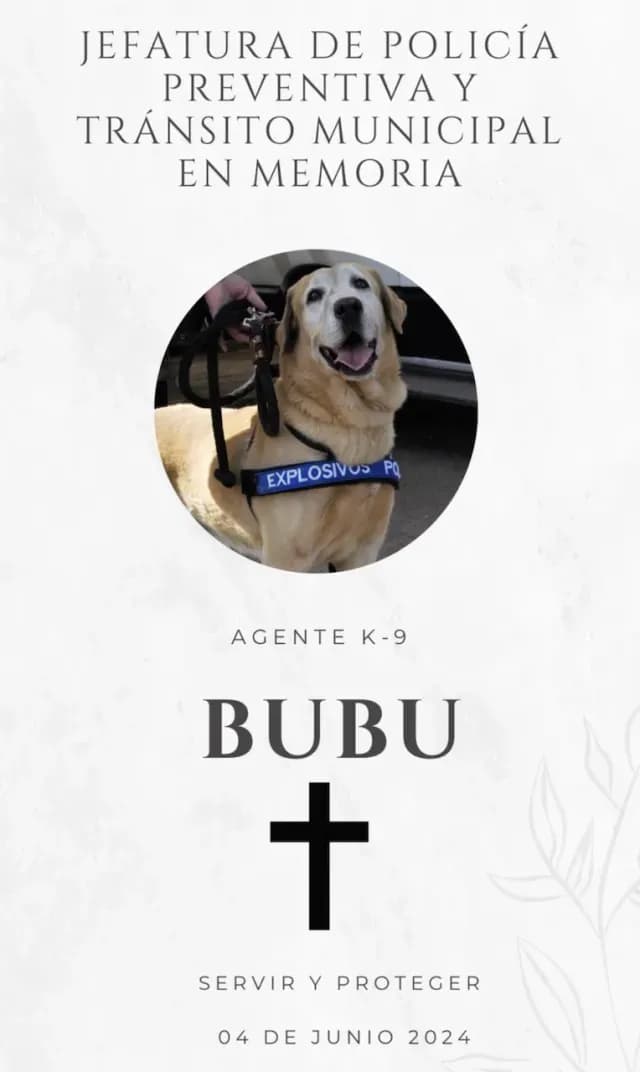 Despiden a Bubu, perrito policía de Hermosillo