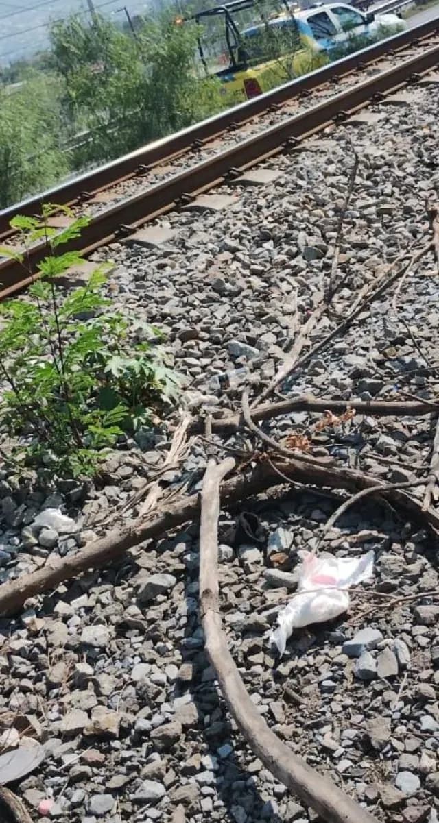 Hombre Intenta Descarrilar al Tren La Emperatriz en Monterrey