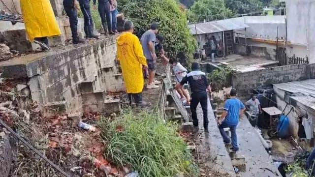 Cae Árbol Sobre Vivienda en el Cerro de la Colonia Pescadores