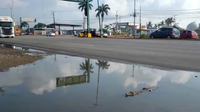 El hallazgo ocurrió sobre la carretera Tampico-Mante, en un charco originado por las recientes lluvias. Foto: SSP Tamaulipas