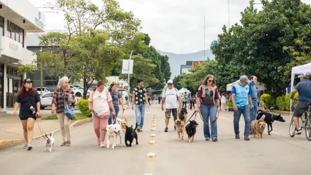 Los animales también aprovecharon el cierre de vialidades, en Oaxaca capital. Foto: Facebook GobOax
