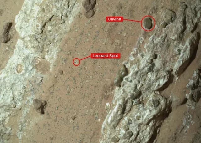 Encuentran en Marte rocas asociadas a formas de vida fosilizadas
