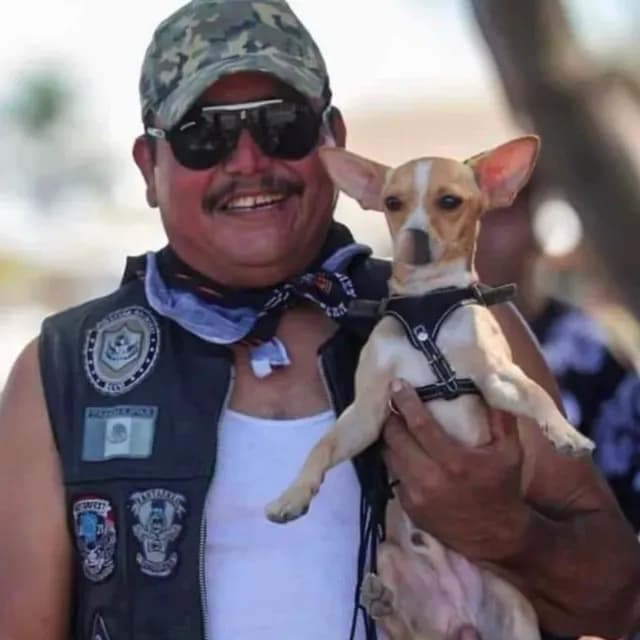 Perrito Acude a Funeral de su Dueño que Murió en Accidente en Moto