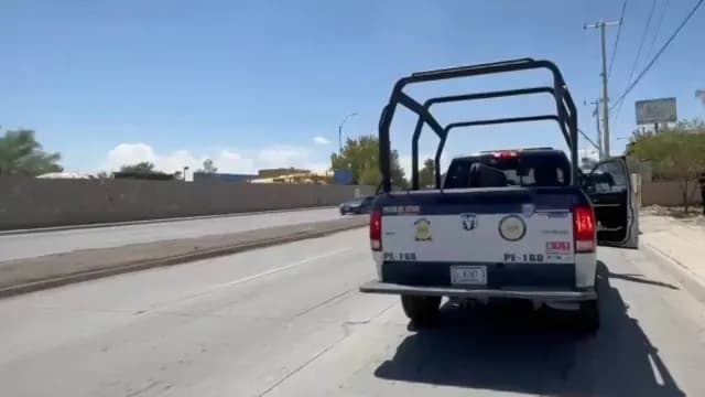 Encuentran 17 Tortugas en Contenedores Dejados en la Banqueta en Ciudad Juárez