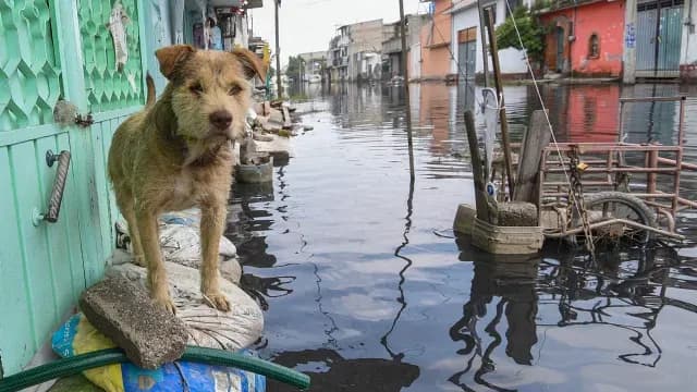 El nivel del agua en Chalco subió tras las constantes lluvias. Foto: Cuartoscuro
