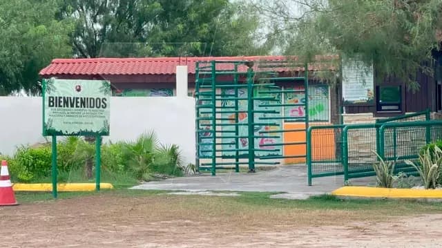 Buscan a Tigre tras Escapar de su Jaula en Quinta de Reynosa