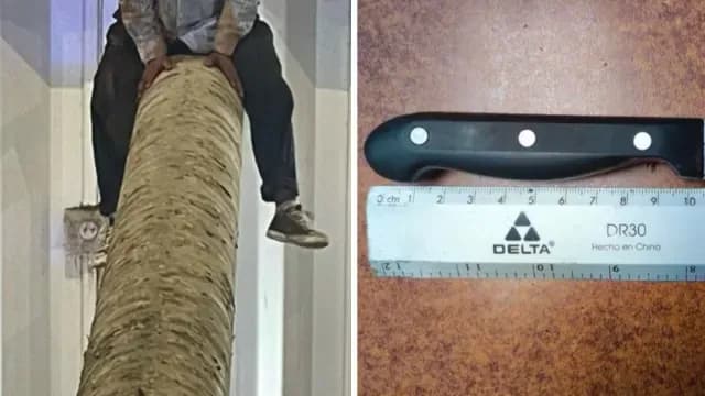 El hombre se encontraba en posesión de un arma punzocortante. Foto: N+