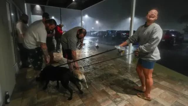 Habitantes de Tampa, Florida, deciden sacar a sus perros cuando Milton llegó al estado. Foto: AP