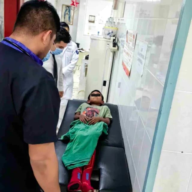 Niño Se Pierde 6 Días en la Selva y Perritos lo Ayudan en Campeche