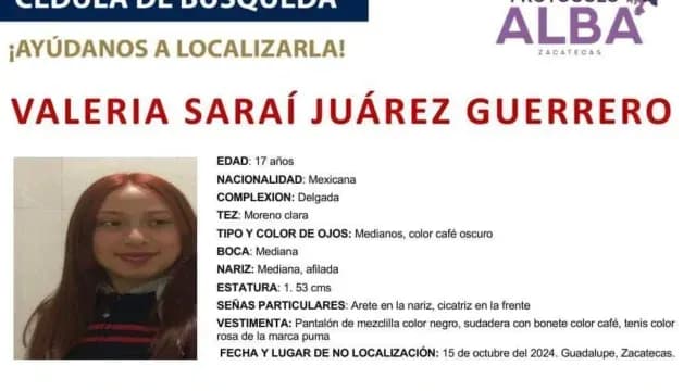 Ficha de búsqueda de Valeria Saraí. Foto: Protocolo Alba