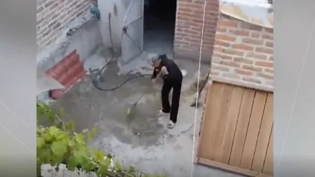 Captan a sujeto que agredió a un perro